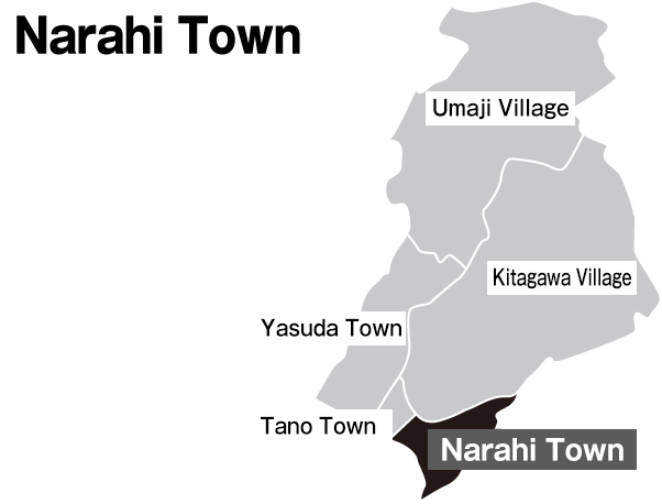 Nahari Town
